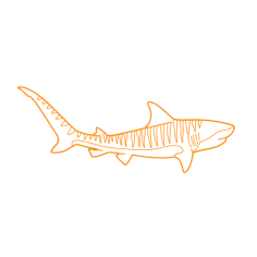 Animals Sharks Tiger Shark Silhouette Svg Vector, Free Vectors File
